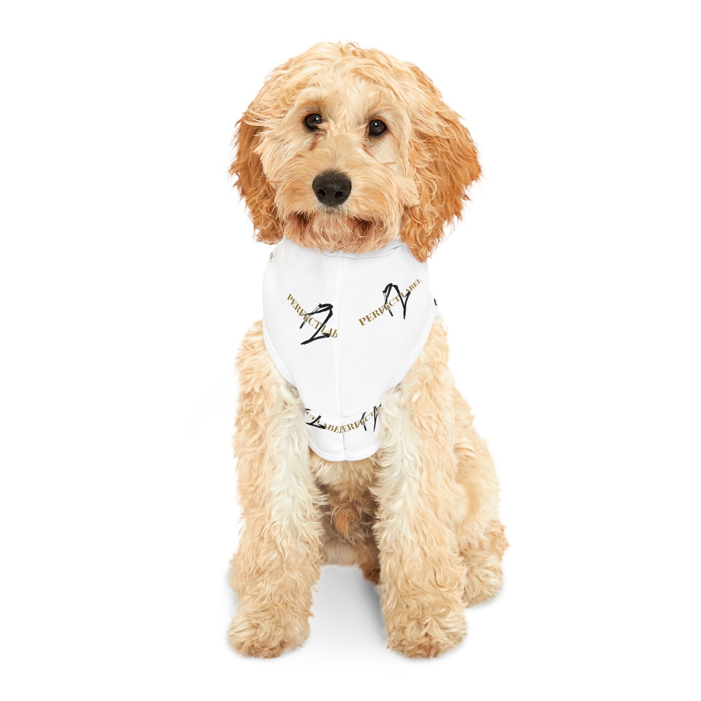 Stylish Pet Hoodie with "Perfect Label" Design - Cozy & Trendy for Furry Friends