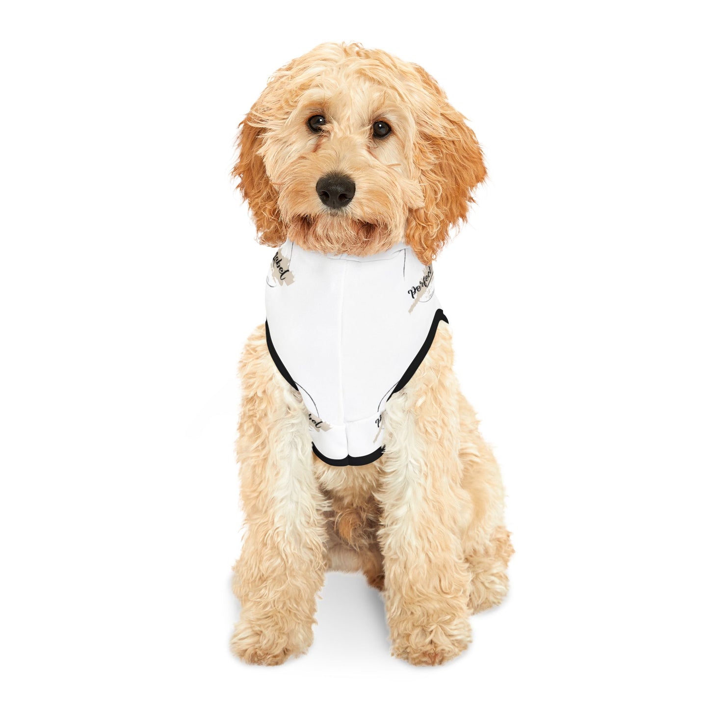Stylish Pet Hoodie with "Perfect Label" Design - Cozy & Trendy for Furry Friends