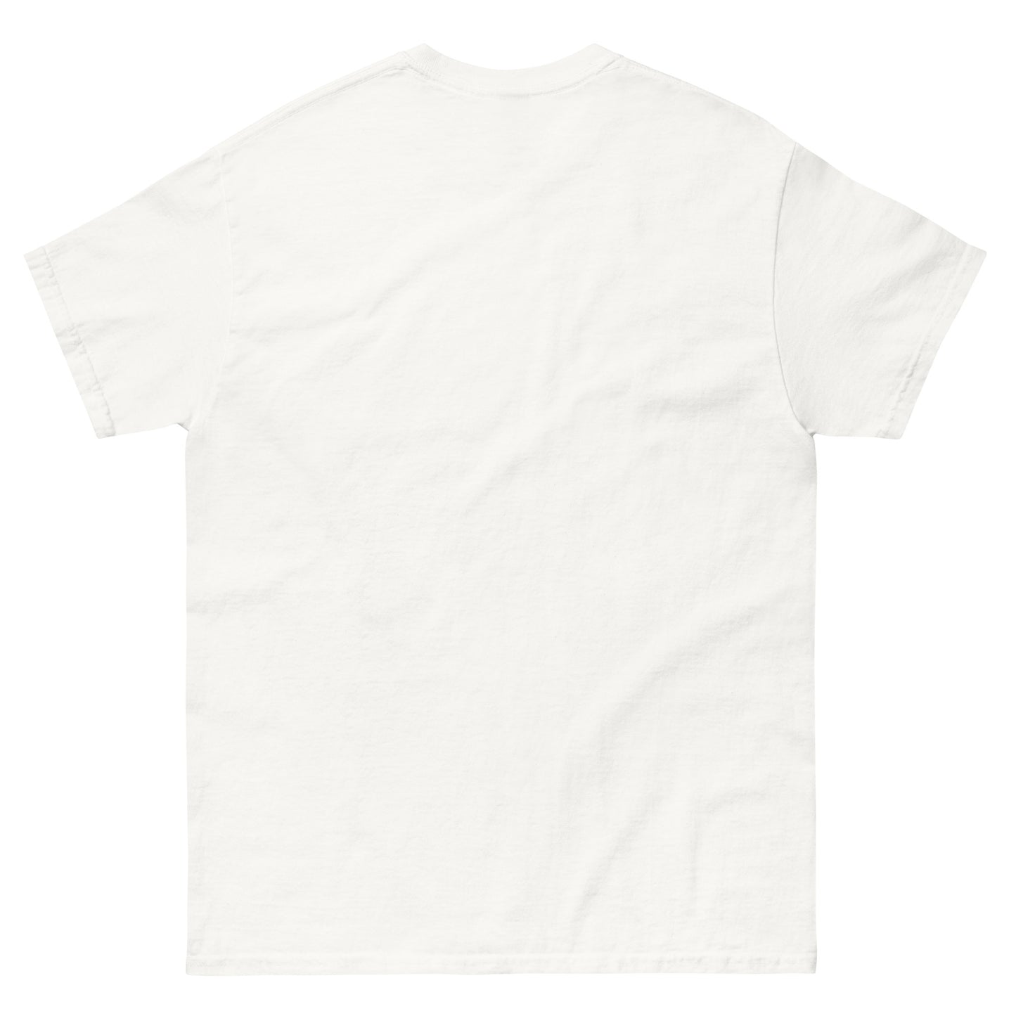PL Turquoise Classic T-Shirt